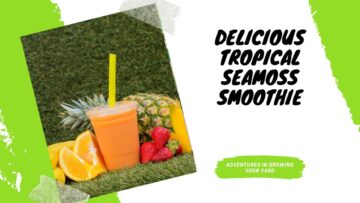 [ID: Q5bqsWQf8uo] Youtube Automatic