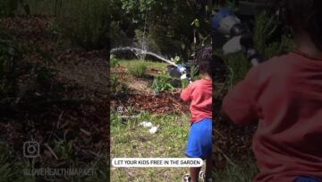 [ID: Q60IKn1P9Cw] Youtube Automatic