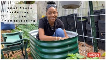 [ID: Qd1L9p_8HjU] Youtube Automatic