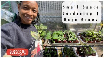 [ID: QG2Ge4Xga9A] Youtube Automatic