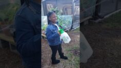 [ID: qiWT8b4_w-8] Youtube Automatic