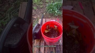 [ID: QLUh9PUCZGc] Youtube Automatic