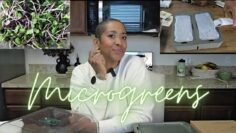 [ID: QMke-gMlTiA] Youtube Automatic