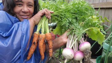 [ID: QqbI7saOKGk] Youtube Automatic