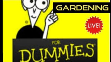 [ID: Qu8CW9MWk08] Youtube Automatic