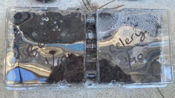 [ID: Qv8P9ccOw_g] Youtube Automatic