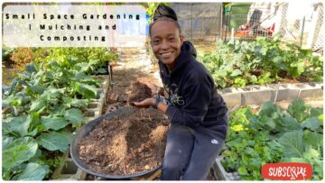 [ID: qXWXahO0Fh4] Youtube Automatic