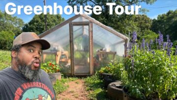 [ID: RAckxno0cto] Youtube Automatic