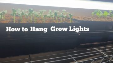 [ID: rAdMt_DYsWs] Youtube Automatic