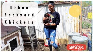 [ID: rB_zxLeAofM] Youtube Automatic