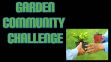 [ID: _rd6i3tokG4] Youtube Automatic