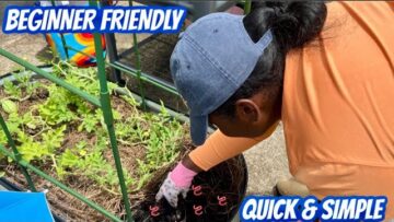 [ID: ReRbvV4Ah70] Youtube Automatic