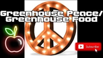 [ID: rK1k8MMh-hI] Youtube Automatic