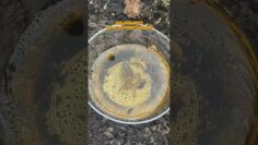 [ID: RkKG3-NQqD4] Youtube Automatic