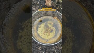 [ID: RkKG3-NQqD4] Youtube Automatic