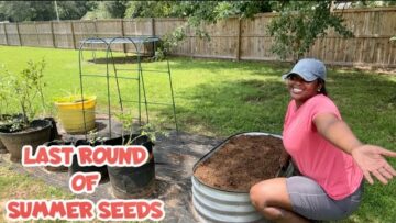 [ID: rNPeMKOAYhA] Youtube Automatic