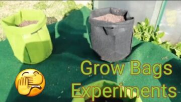 [ID: Ro-sA_VLIMk] Youtube Automatic