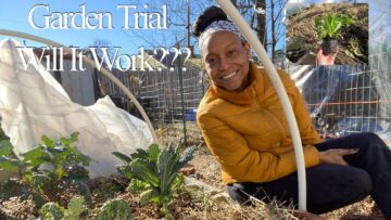 [ID: rQzMrwQyb5Q] Youtube Automatic