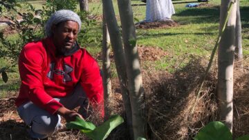 [ID: rTWYqlJQtBw] Youtube Automatic