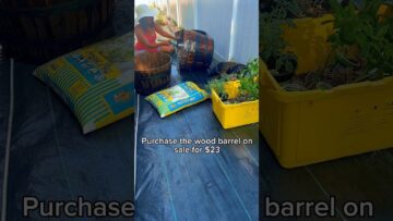 [ID: rUlS-AY2JfQ] Youtube Automatic