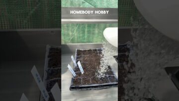 [ID: Ry-QGjLaN-8] Youtube Automatic