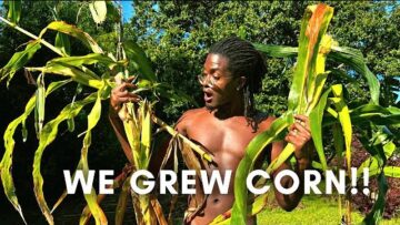 [ID: sBmEfGhpYnY] Youtube Automatic