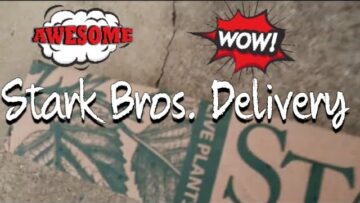 [ID: sCLjVKnneNs] Youtube Automatic