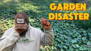 [ID: SIjXmcfrCag] Youtube Automatic