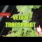 Transplanting Veggie Plants Into Bigger Containers/Ep.6/