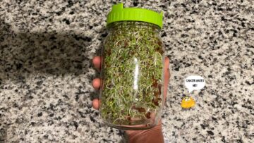 [ID: sjhmUBcnC5E] Youtube Automatic