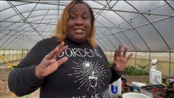 [ID: sjqRiWP6VsY] Youtube Automatic