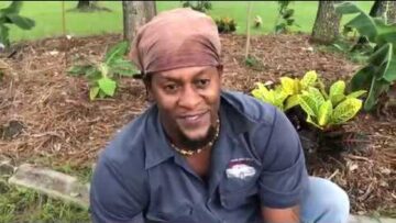 [ID: Slhb0pBs-vk] Youtube Automatic