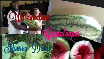 [ID: SRaFgKz3VDw] Youtube Automatic