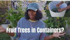 [ID: Sram0uxsIdk] Youtube Automatic