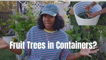 [ID: Sram0uxsIdk] Youtube Automatic