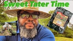 [ID: srEbTUezayc] Youtube Automatic