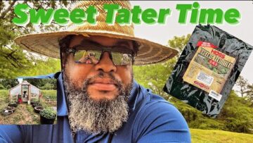 [ID: srEbTUezayc] Youtube Automatic