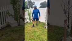 [ID: SriI4ahhCA8] Youtube Automatic