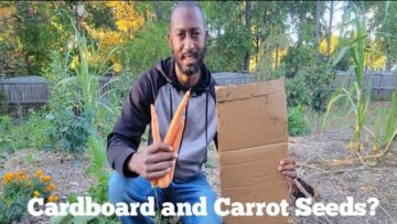 [ID: st6-kXgUzBE] Youtube Automatic