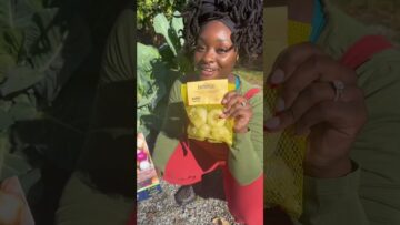 [ID: sUMQH-GJLlc] Youtube Automatic