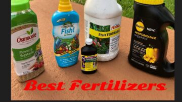 [ID: T3NvvxxSTDs] Youtube Automatic