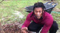 [ID: T78qQ83lhzM] Youtube Automatic