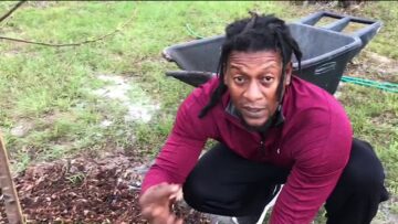 [ID: T78qQ83lhzM] Youtube Automatic