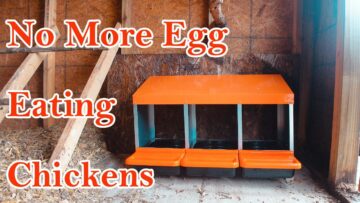 [ID: tapwJwyM_uc] Youtube Automatic