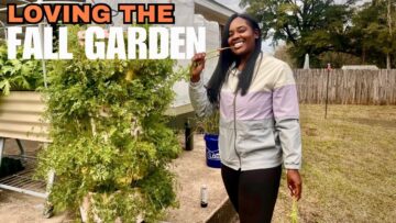 [ID: tb_KKOjDBk4] Youtube Automatic