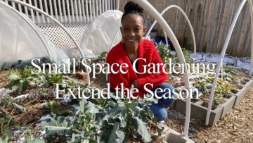 [ID: TbpS56h_yDw] Youtube Automatic