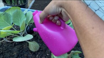 [ID: TBtFlBKjdLs] Youtube Automatic