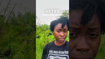 [ID: TcMfFmjYSmY] Youtube Automatic