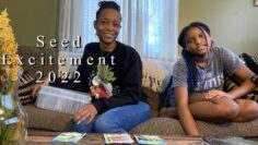 [ID: TDyY3VvATzY] Youtube Automatic