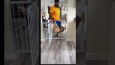 [ID: TEBhb5mASRI] Youtube Automatic